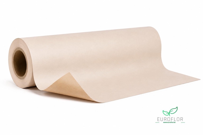 KRAFTPAPIER 10KG 50CM 50GR CREME