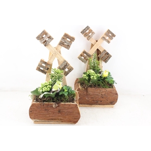 arr2 TD - Hout molen 338/3 - wit