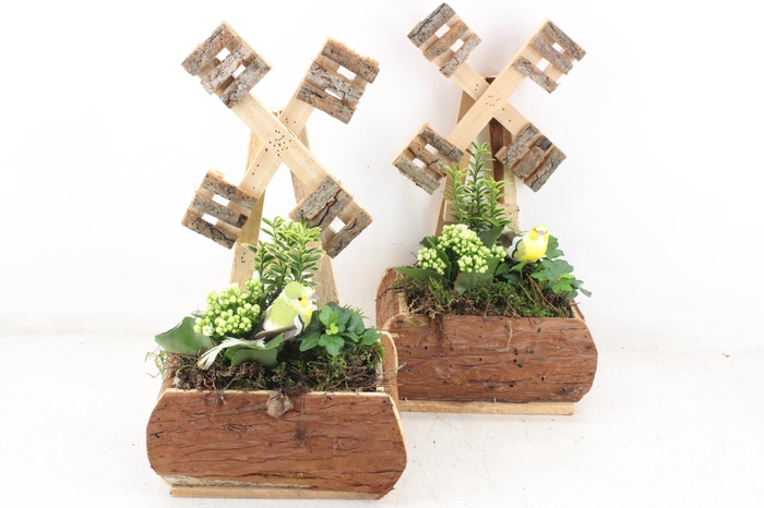 <h4>arr2 TD - Hout molen 338/3 - wit</h4>