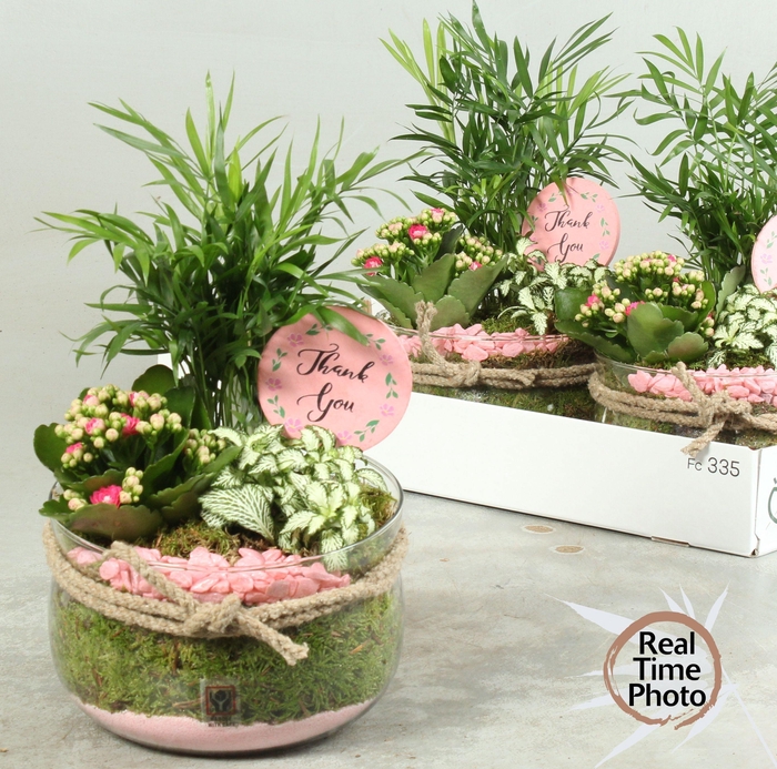 <h4>ARR KAMERPL</h4>