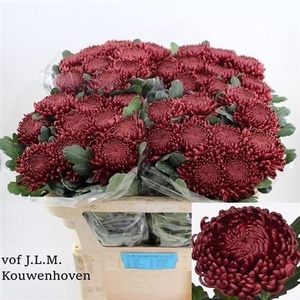 Chr G Bigoudi Red