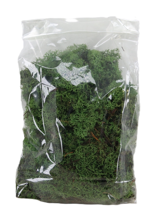 <h4>MOSSEN OV H%</h4>