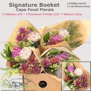 KAAPS GROE GEM IN BS