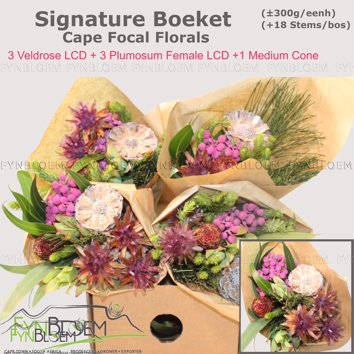 <h4>KAAPS GROE GEM IN BS</h4>