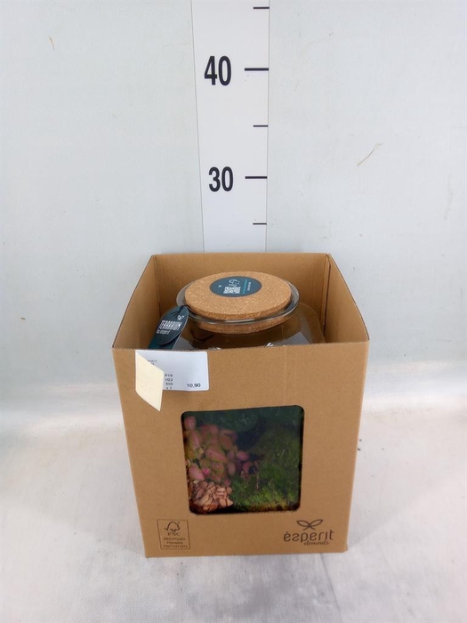 <h4>Arr.    Planten  H%</h4>