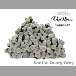 CHR S DUSTY GREY