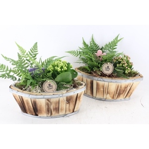 arr2 PL - Hout kano x4 - roze/wit