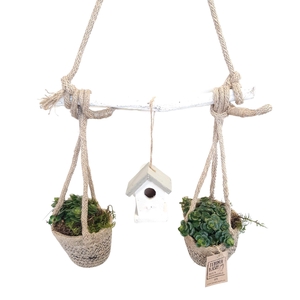 Arr.   Kamerplant Groen L%