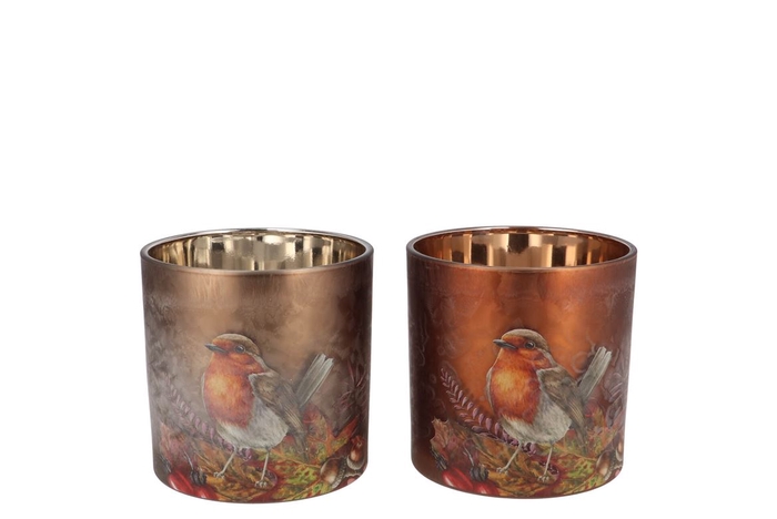 <h4>Ruby Scottish Brown T-light Bird Ass 8x10cm</h4>