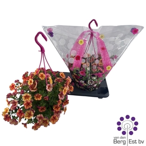 CALIB MINIF UNO BAKA