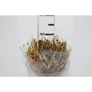 PLANTA SECA BUQUE VARIADO PIMENTA MULTICOLORIDO 40CM
