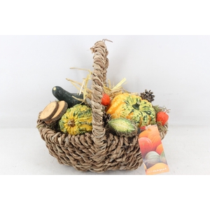 arr4 Sierfruit MB - Tasmand x4