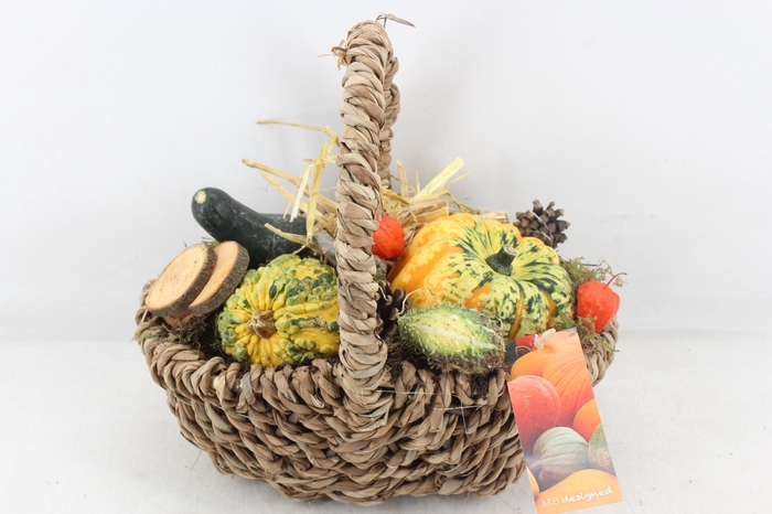 <h4>arr4 Sierfruit MB - Tasmand x4</h4>