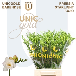 UG Barendse - Starlight 5x20