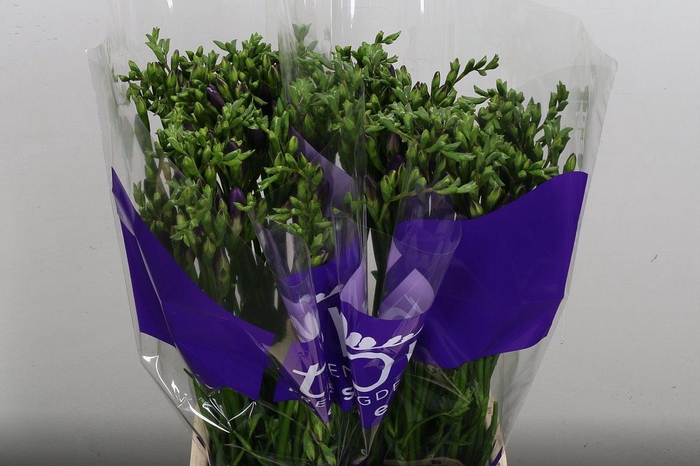 <h4>Fr En Delta River</h4>