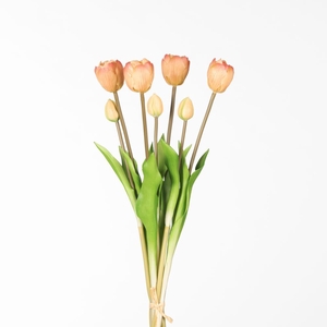 AF Tulip Db Bnd x7 L44cm Salmo