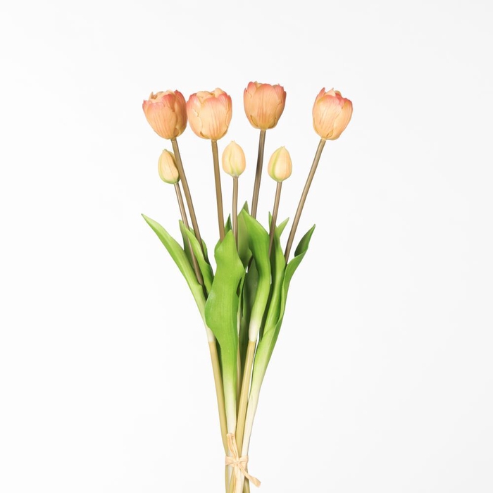 <h4>AF Tulip Db Bnd x7 L44cm Salmo</h4>