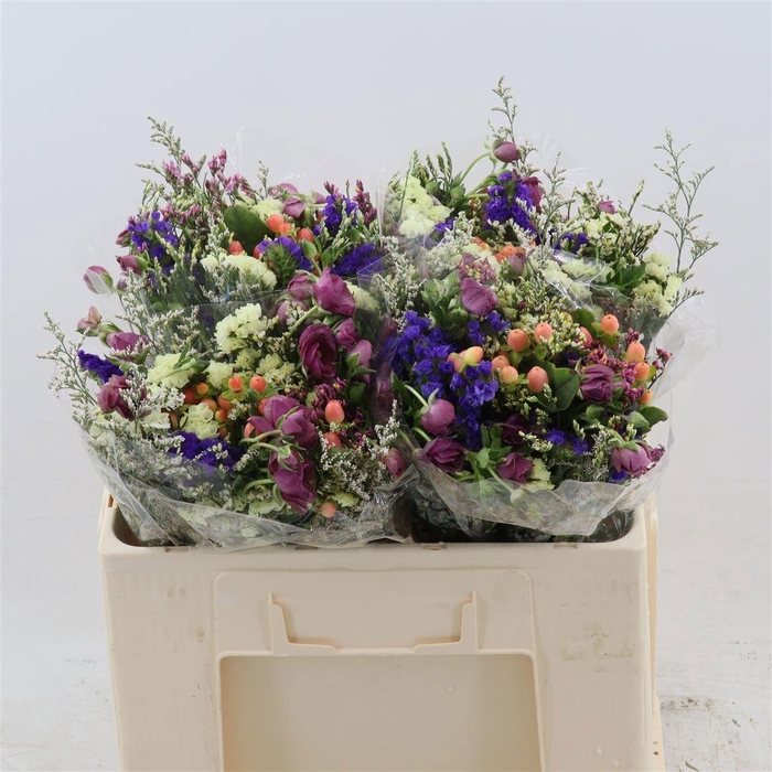 <h4>ZOMERBOEKET OV</h4>