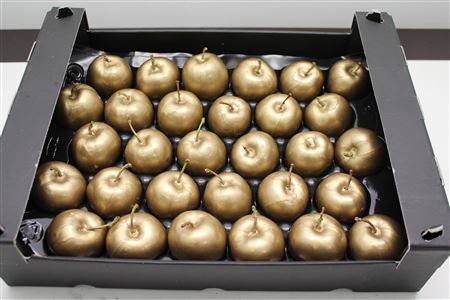 <h4>Waxappel Goud</h4>