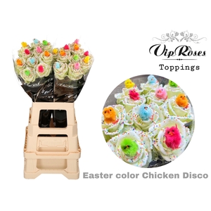 R Gr Easter Color Chicken Disco X20