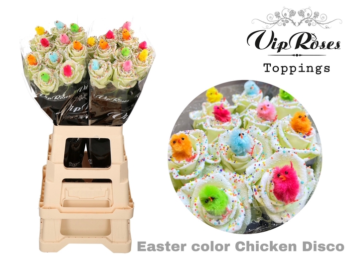 <h4>R Gr Easter Color Chicken Disco X20</h4>