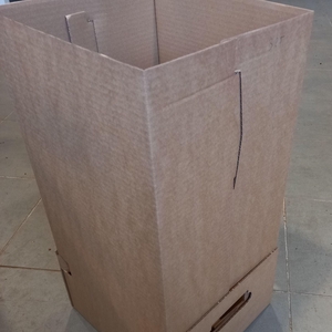 Inca Orchid mix 3 spike in Jungle cover