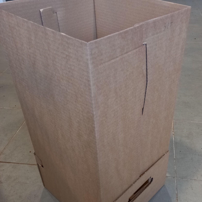 <h4>Inca Orchid mix 3 spike in Jungle cover</h4>