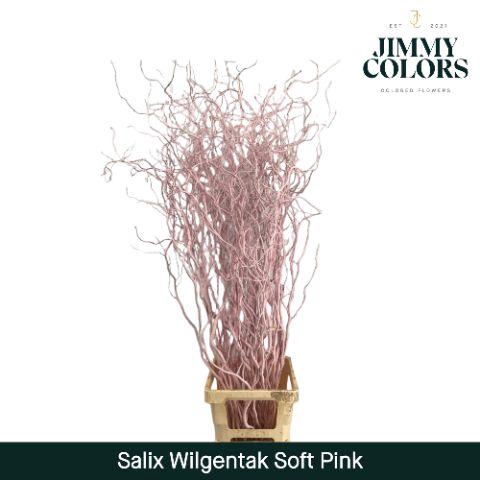<h4>Salix Golden Curls Soft Pink</h4>