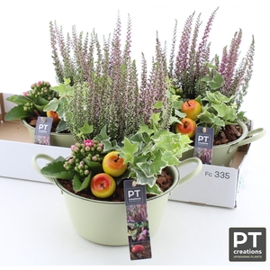 ARR TUINPLANTEN