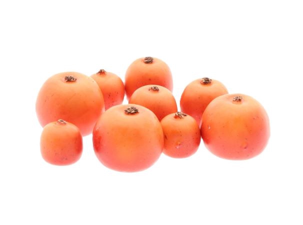 Apple Malus 3 Size 9Pcs