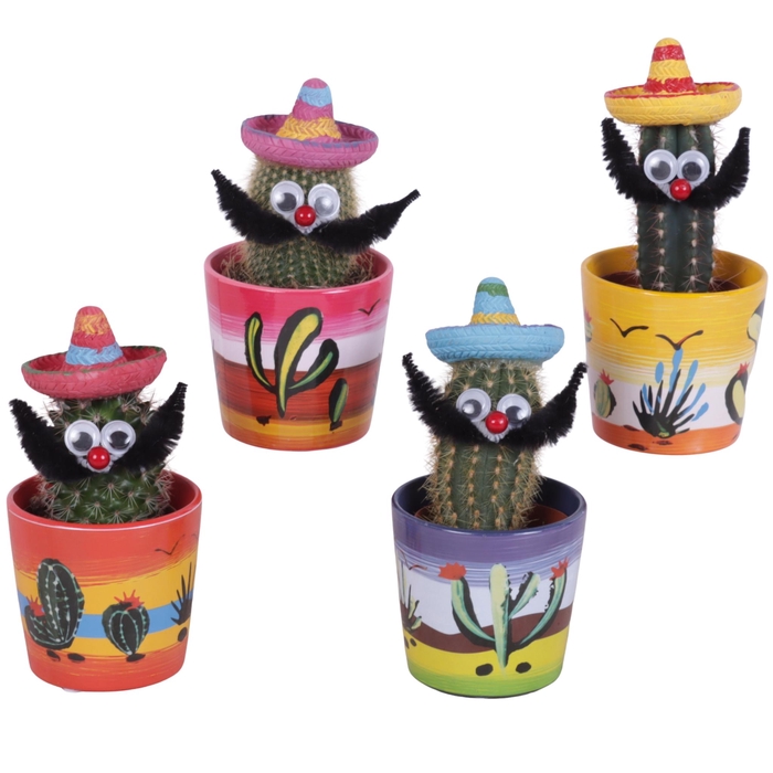 <h4>Cactus mix Ø5,5 cm in Ceramic Pot Mexico Ø07cm</h4>