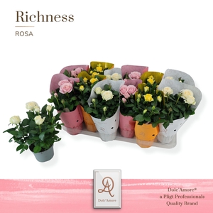 Potroos Florence Mix P10,5 Dolc'Amore® Metallic Ton Sur Ton