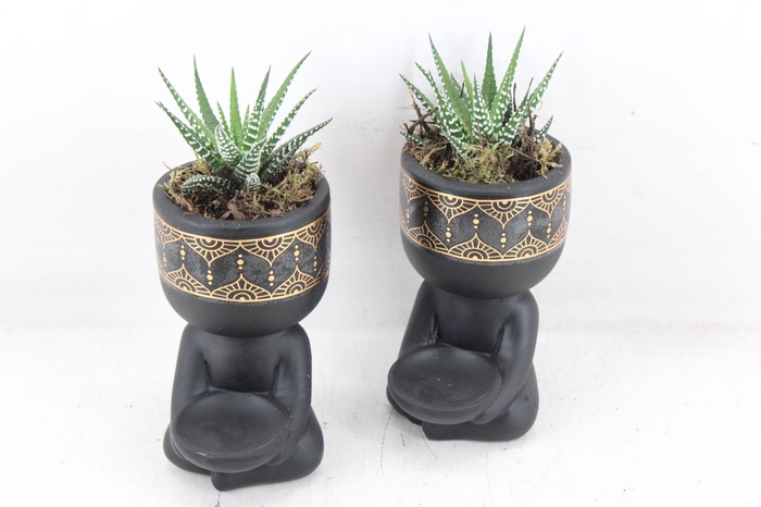 <h4>arr3 SN - Buddha black x12</h4>