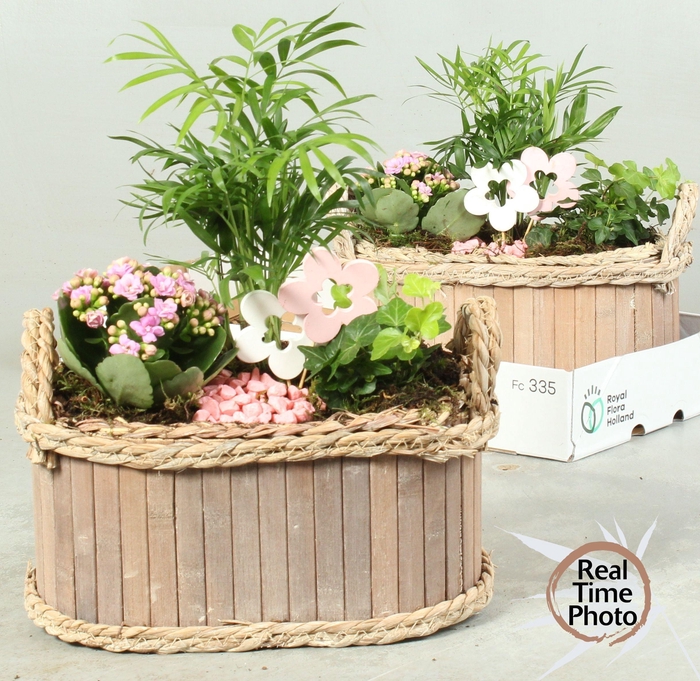 <h4>ARR KAMERPL</h4>