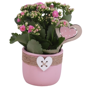 Mothersday Arr. Indoor Ceramic Pot Round Rope Heart Ø11cm 1PP