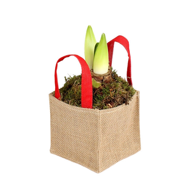 <h4>Bag Foxy jute 14.5x14.5xH14.5 red 30/bun</h4>
