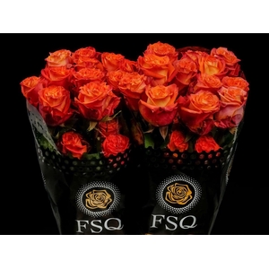 R GR Careless Whisper