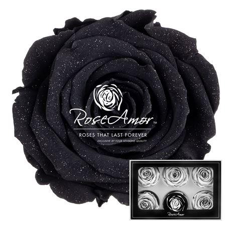 <h4>Lplus Diamond Dust Bla01</h4>