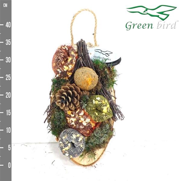 <h4>Vogelzaadfiguur</h4>