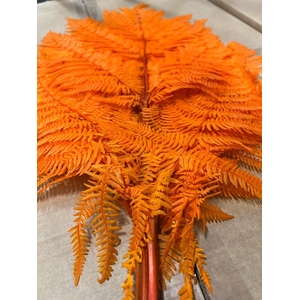 GESTABILISEERD VAREN ORANJE