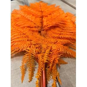 GESTABILISEERD VAREN ORANJE