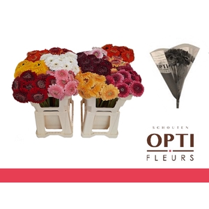 GE MB POM GEM-Water hoes ongelijk