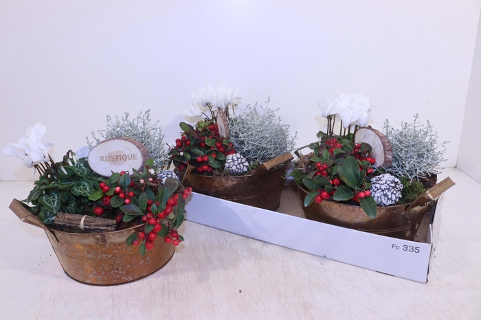 <h4>ARR TUINPLANTEN</h4>