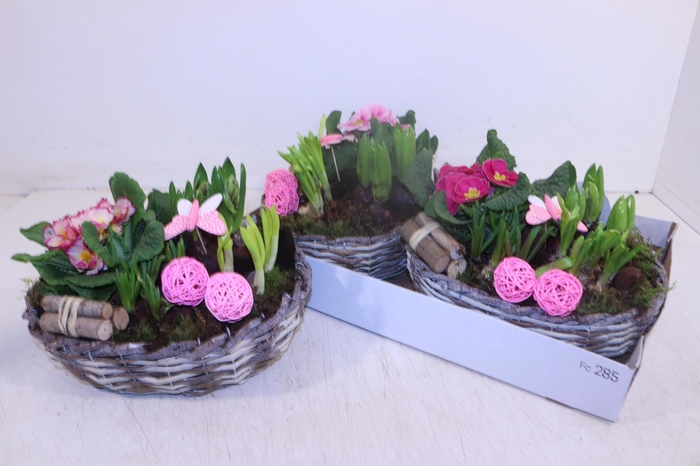 <h4>ARR TUINPLANTEN</h4>