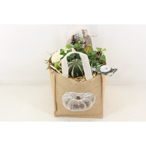 arr4 Sierfruit MB - Jute tas herfst XL white