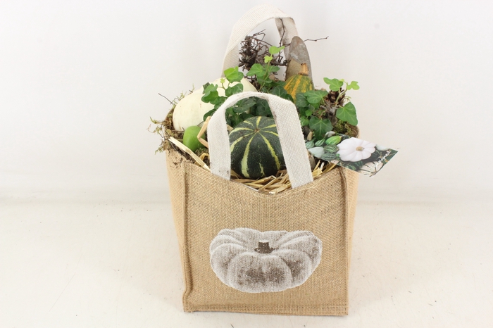 <h4>arr4 Sierfruit MB - Jute tas herfst XL white</h4>