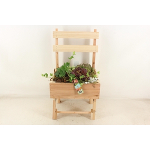arr4 Semp JS - Houten stoel XL
