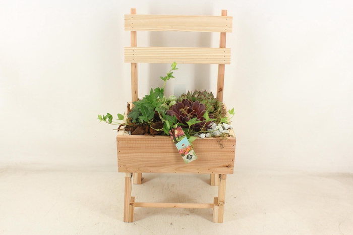 <h4>arr4 Semp JS - Houten stoel XL</h4>