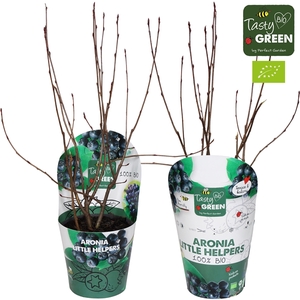 Aronia Little Helpers Bio P14 potcover