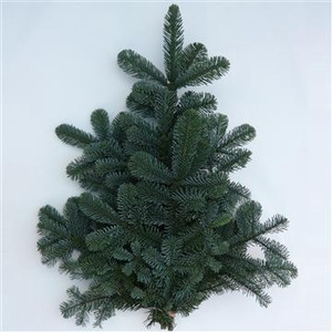 NORDMANN HANDBOS